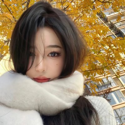 天龙八部之乔峰传国语